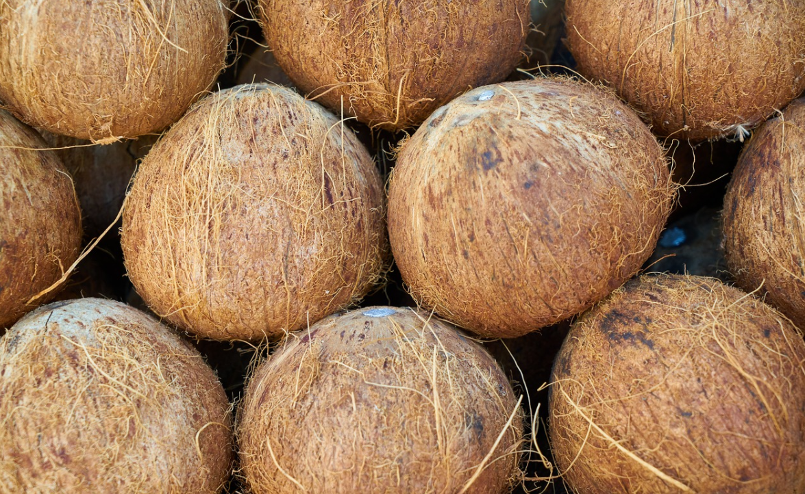 hnědé kokosy