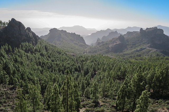 les na gran-canaria.jpg